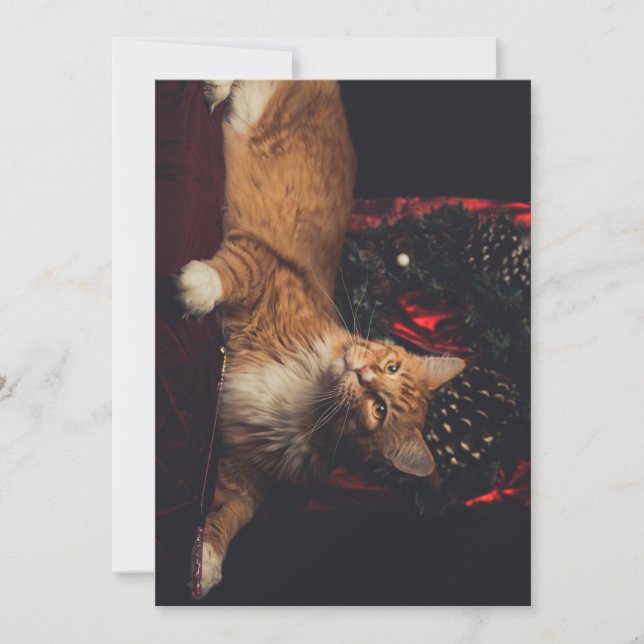 Julkort Tarzan V1 (Framsida)