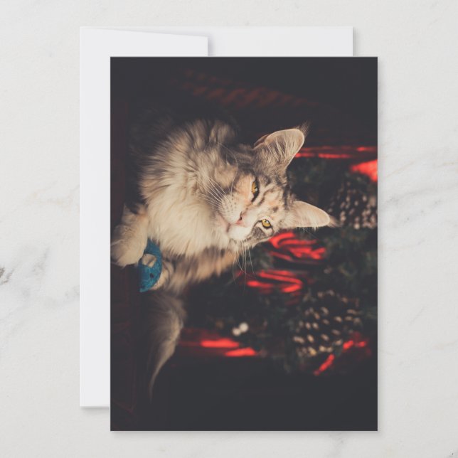 Julkort - Titiyo V3 (Framsida)