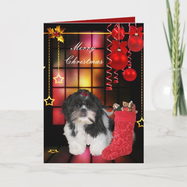 Julkort Xmas Hund Shitzu Valp Helgkort (Framsida)