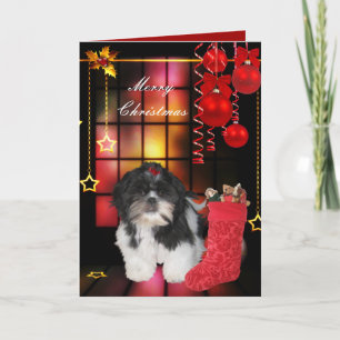 Julkort Xmas Hund Shitzu Valp Helgkort