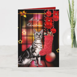 Julkort Xmas Katt Helgkort