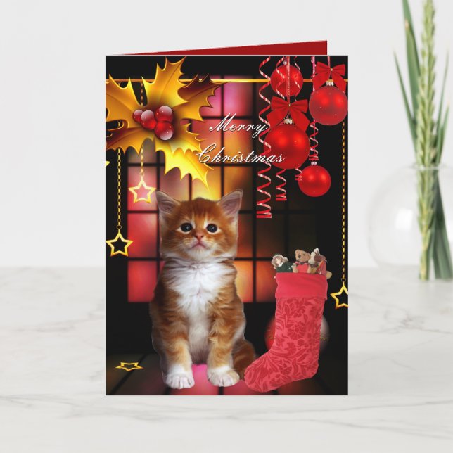 Julkort Xmas Katt Kattunge Helgkort (Framsida)