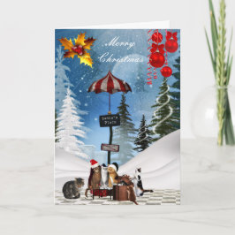 Julkort Xmas Katter Hatt Snö Helgkort
