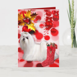 Julkort Xmas Malteser Hund Valp Hjärtan Helgkort
