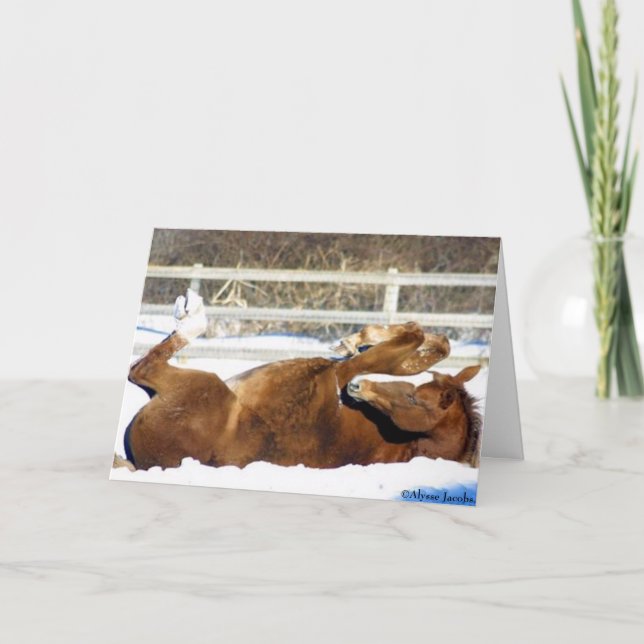 Julkortet 2005, Ömsesidigt erkännande Helgkort (Framsida)