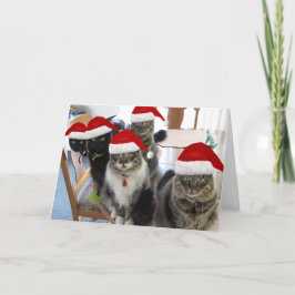 Julkortet Gang Extra Mjölk Helgkort