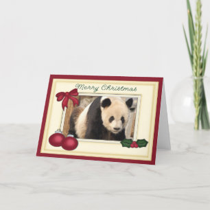 Julkortet Giant Panda Bear & Baby Panda Helgkort