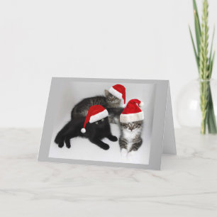 Julkortet Kitten Helpers Helgkort
