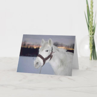 Julkortet OMRH 2005 - foto - hederligt omnämnande Helgkort