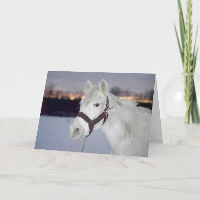 Julkortet OMRH 2005 - foto - hederligt omnämnande Helgkort (Framsida)