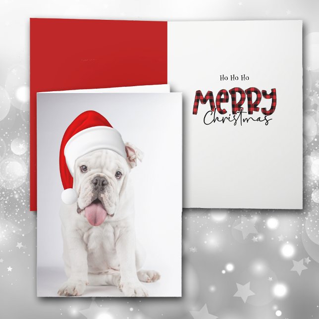 Julkortet Santa Hat White Bulldog Puppy Helgkort (Skapare uppladdad)