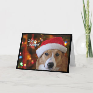 Julkortet Santa Pembroke Welsh Corgi Helgkort