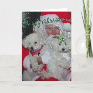 Julkortet Santa & Pudel Helgkort