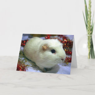 Julkortförsökskanin Helgkort