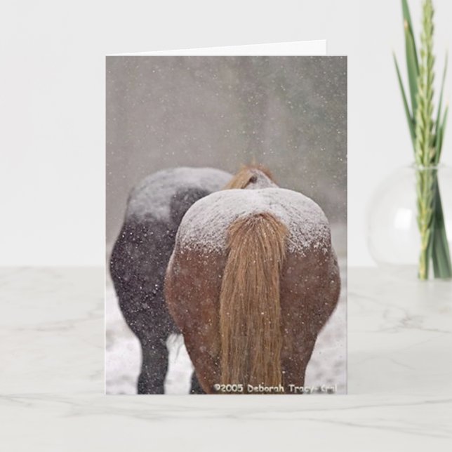 Julkortfotoet för 2005 OMRH understöder Helgkort (Framsida)