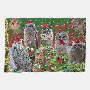Julkritikerna Ugglor och Raccoon Kökshandduk