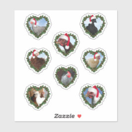 Julkycklingar i hjärtstillestånd klistermärken