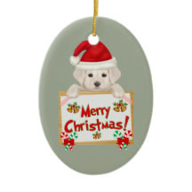 JulLabrador valp! För valpälskare!