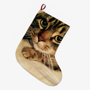 Jullagret Cute Cat Stor Julstrumpa