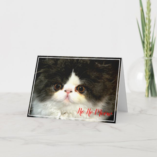 Julledig svart vit fluffig kattunge kort (Framsida)