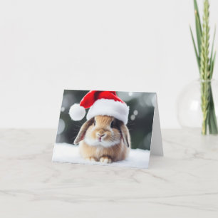 Julledskanin Helgkort
