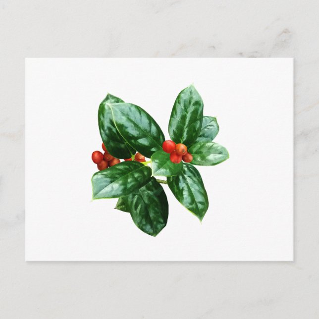 Jullon Med Bär Vykort (Framsida)