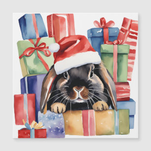 Jullop Bunny Rabbit