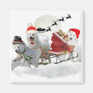 Julmagasin från Samodes Magnet