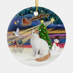 Julmagi - turkiska Van Cat Julgransprydnad Keramik