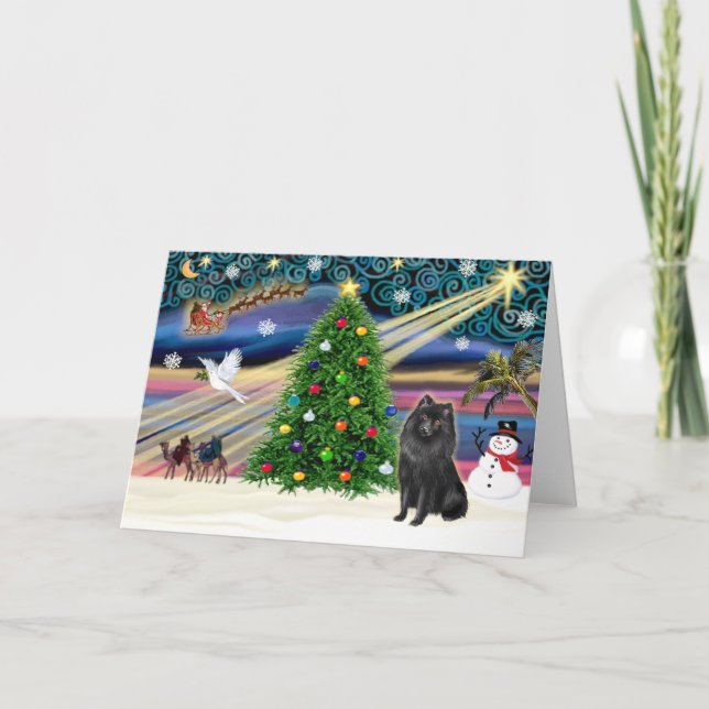 Julmagic Schipperke Helgkort (Framsida)