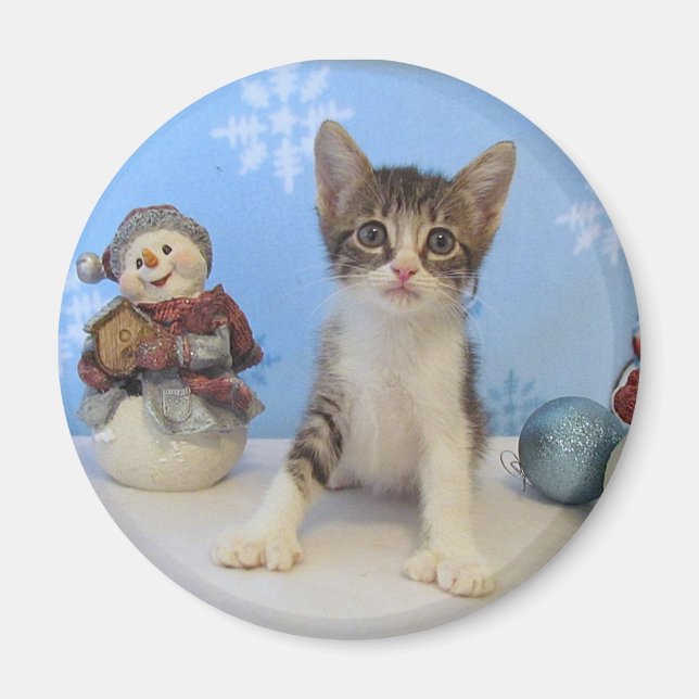 Julmagnet - Katt/Kitten Magnet (Framsidan)