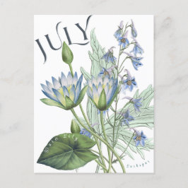 Julmånad Blommor Larkspur Vatten Lily Finare Vykort