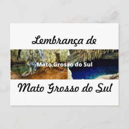 Julmarkkort souvenir från Mato Grosso do Sul Vykort