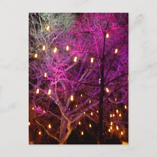 Julmarknaden Ljus i Köln Vykort (Framsida)