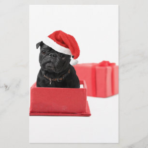 Julmops Brevpapper