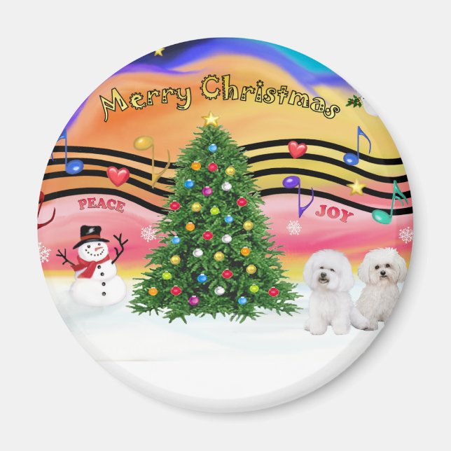 Julmusik 2 - Bichon Frise (2) Magnet (Framsidan)