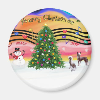 Julmusik 2 - Kinesisk rastbeläggning (2 hl) Magnet