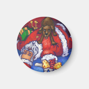 Julönskan Magnet