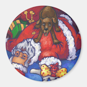 Julönskan Magnet