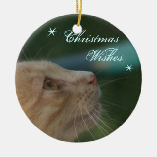 Julönskemål Julgransprydnad Keramik