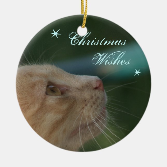 Julönskemål Julgransprydnad Keramik (Framsidan)