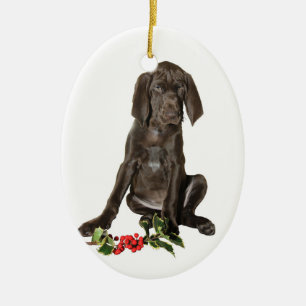 Julpekaren Puppy Julgransprydnad Keramik