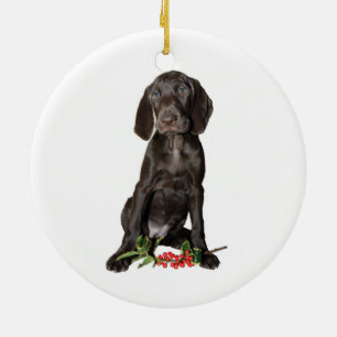 Julpekaren Puppy Julgransprydnad Keramik