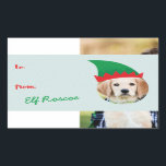 Julpersonal Elf Hat Photo Helgdag Gift-etikett Rektangulärt Klistermärke<br><div class="desc">Märk dina gåvor med en tänd och roligt-dekal som sätter dig i fånigets hatt. Om du vill att dina foton ska passa det utrymme du kan behöva ändra storlek på eller skörd i bilden med hjälp av verktygen Redigera. Fotografi � Shanna Russell Photography,  San Antonio TX</div>