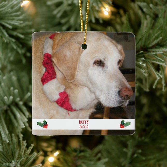 Julpett Photo Template Red and White Julgransprydnad Keramik (Träd)