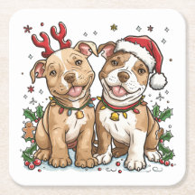 Julpit Bull Dogs