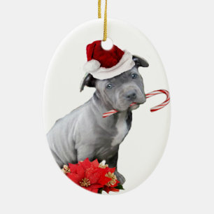 Julpitbullvalp Julgransprydnad Keramik