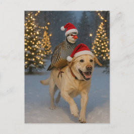 Julpostkort med gul Labrador och Rapphöna Vykort