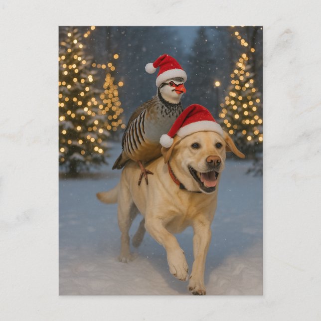 Julpostkort med gul Labrador och Rapphöna Vykort (Framsida)