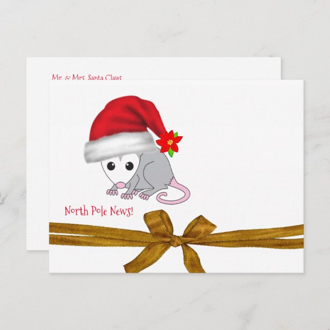 Julpostkort Nordpolen Pungråtta Vykort (Fram/baksida)